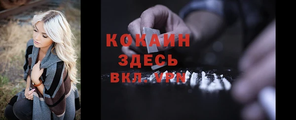 сатива Армянск