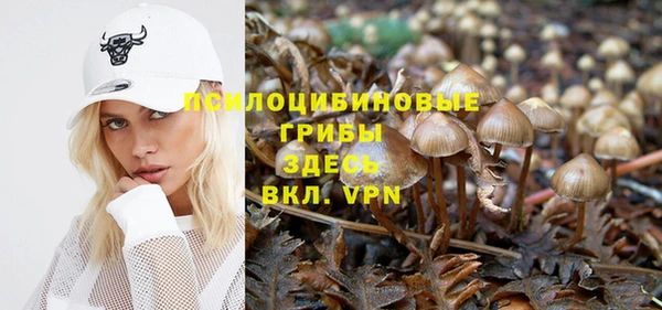 синтетический гашиш Арсеньев