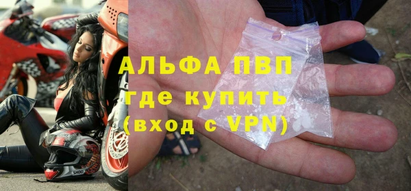 сатива Армянск