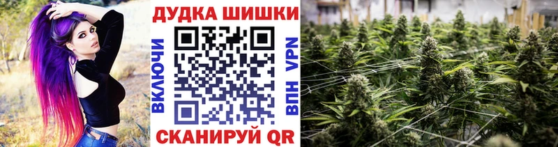 Канабис THC 21%  блэк спрут зеркало  Инсар  купить наркотик 